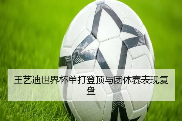 王艺迪世界杯单打登顶与团体赛表现复盘